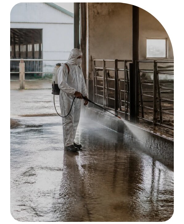 Профессиональная дезинфекция фермы в Гукове по цене от 15399 р. | Сенат-Гкв